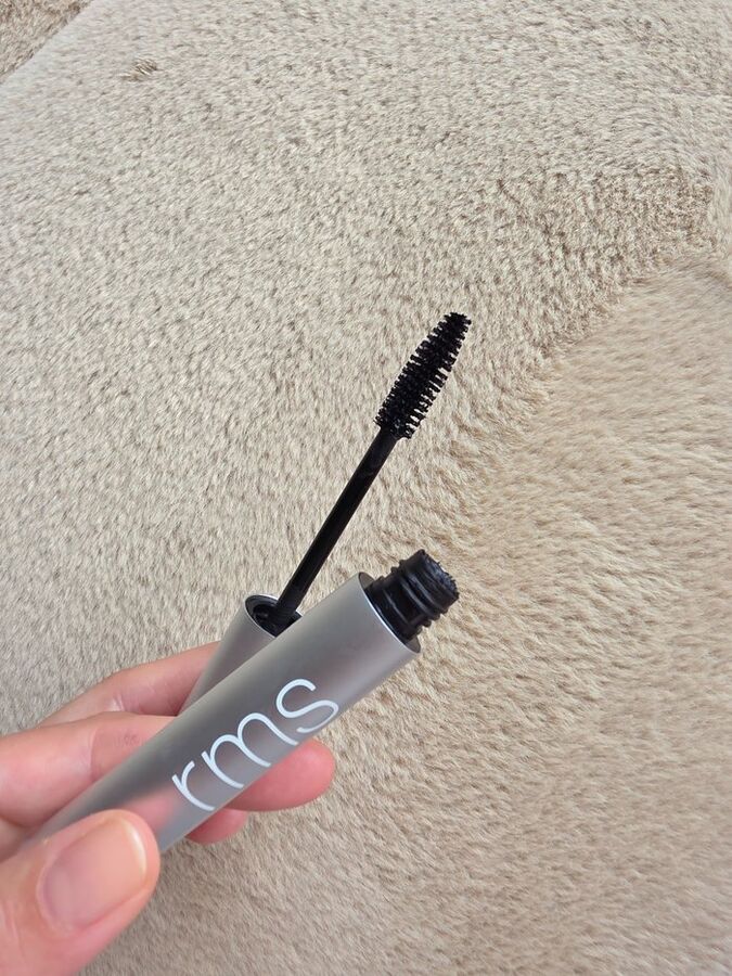 rms blog 10 700w otocene